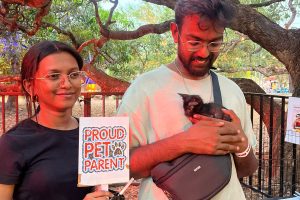 Adoption drive kitten
