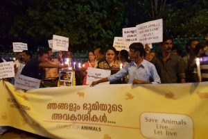 Advocacy