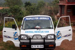 PFA van