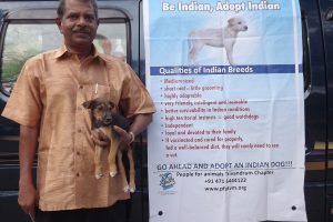 Promoting indian dogs (2)