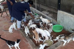 Feeders are great social service providers. Respect them  